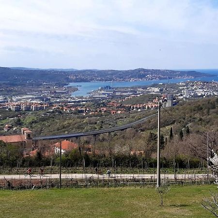 Bellavista Trieste サン・ドルリーゴ・デッラ・ヴァッレ エクステリア 写真