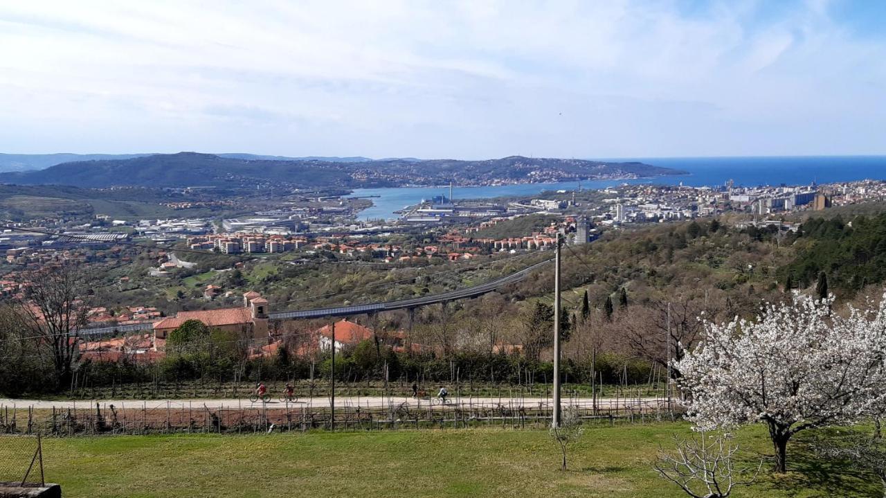 Bellavista Trieste サン・ドルリーゴ・デッラ・ヴァッレ エクステリア 写真