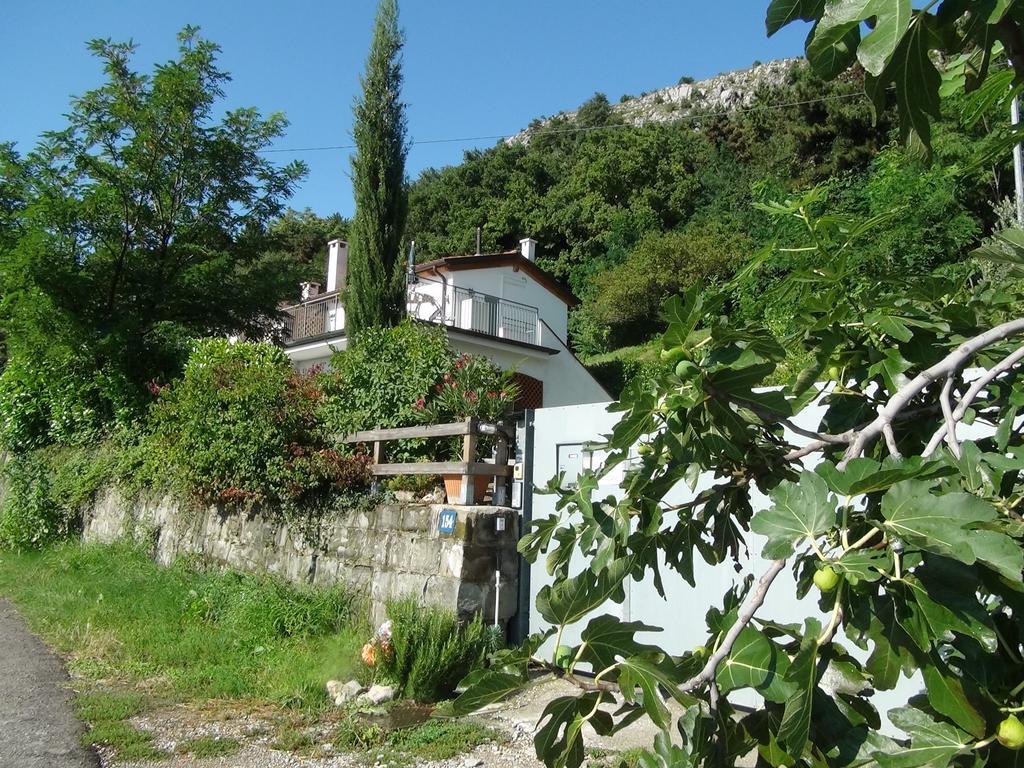 Bellavista Trieste サン・ドルリーゴ・デッラ・ヴァッレ エクステリア 写真